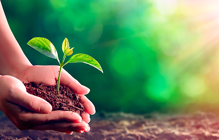 ׯ�к���Ϸ(�й�)�ɷ����޹�˾-����