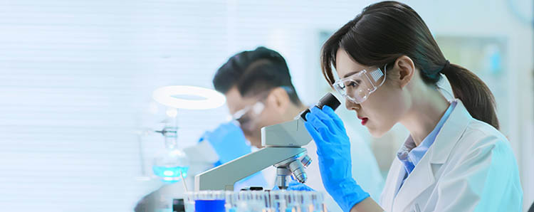 ׯ�к���Ϸ(�й�)�ɷ����޹�˾-����